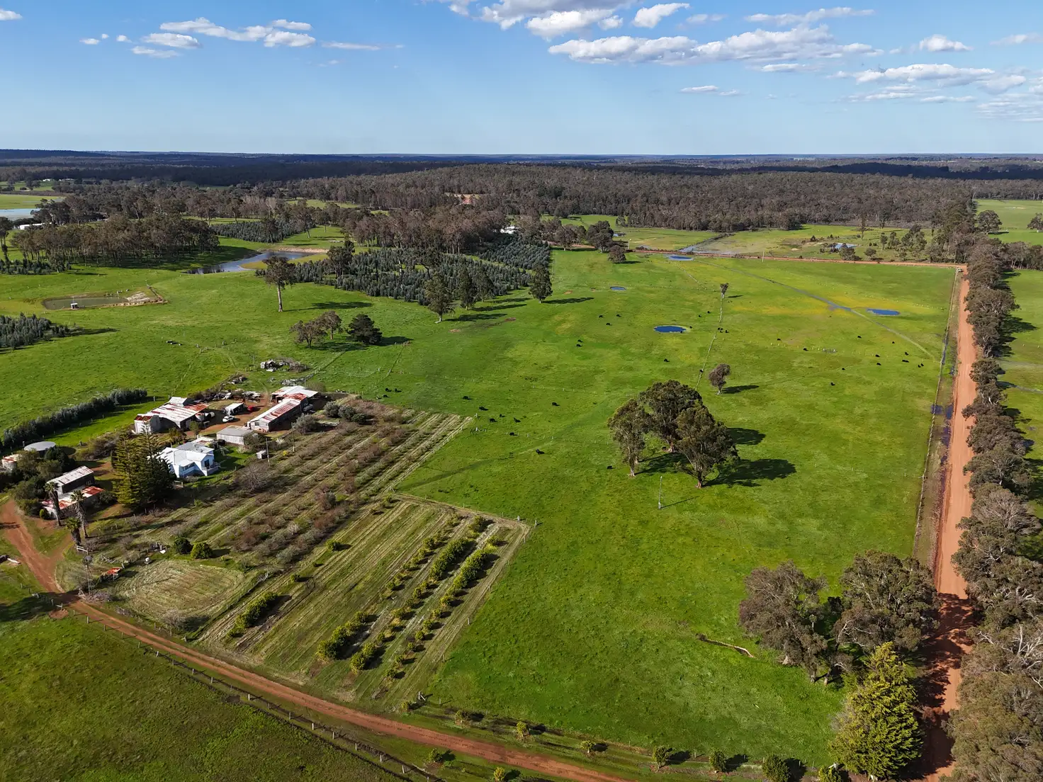 Main view of Homely rural property listing, 64 Gibellinis Road (Linfarne), Manjimup WA 6258