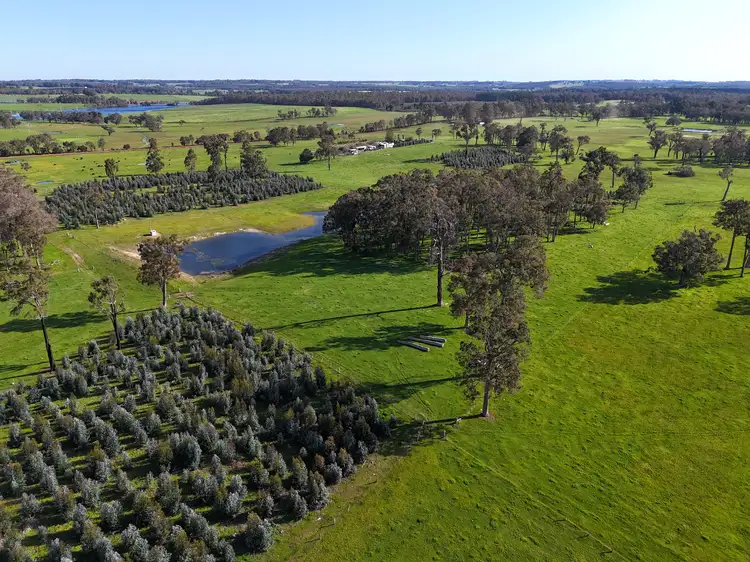 Second view of Homely rural property listing, 64 Gibellinis Road (Linfarne), Manjimup WA 6258