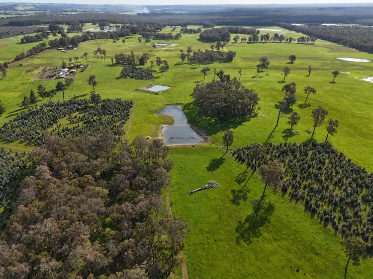 Fourth view of Homely rural property listing, 64 Gibellinis Road (Linfarne), Manjimup WA 6258
