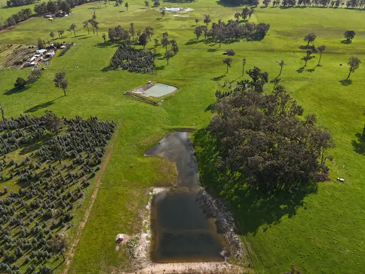 Fifth view of Homely rural property listing, 64 Gibellinis Road (Linfarne), Manjimup WA 6258