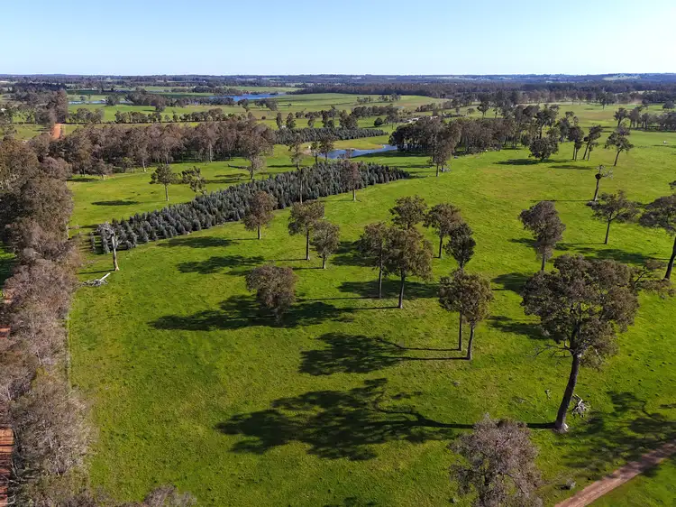 Sixth view of Homely rural property listing, 64 Gibellinis Road (Linfarne), Manjimup WA 6258