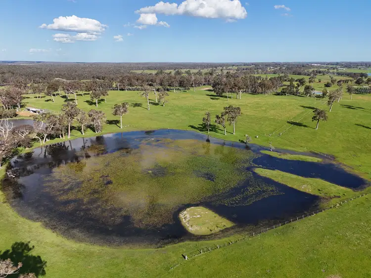 Seventh view of Homely rural property listing, 64 Gibellinis Road (Linfarne), Manjimup WA 6258