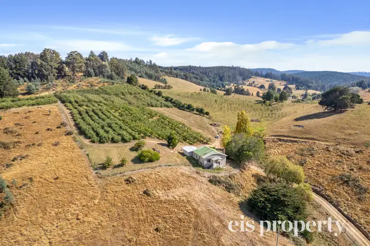 Fifth view of Homely house listing, 36-41 Donnellys Road, Geeveston TAS 7116