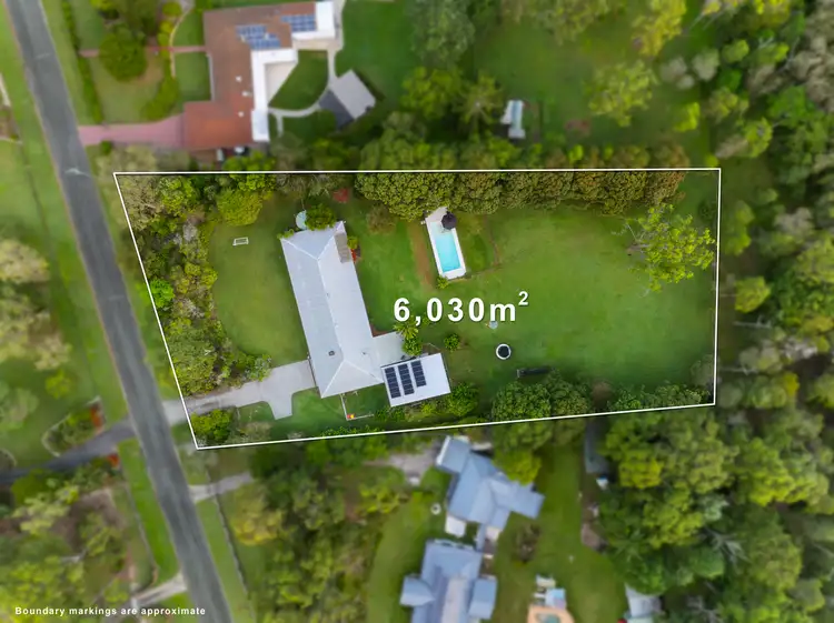 12 Satinash Court, Capalaba QLD 4157