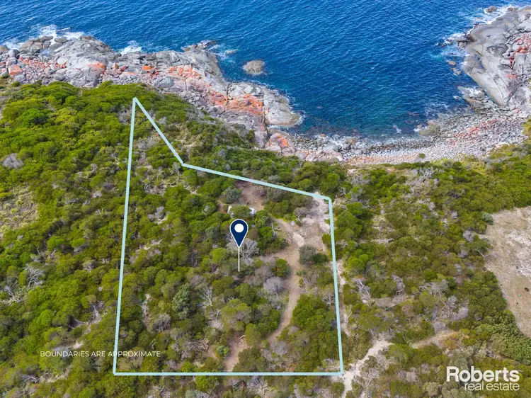 4 Cooper Street, Seymour TAS 7215