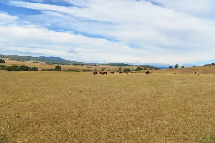 Third view of Homely rural property listing, 166 Glenroy Lake Road, Tumbarumba NSW 2653