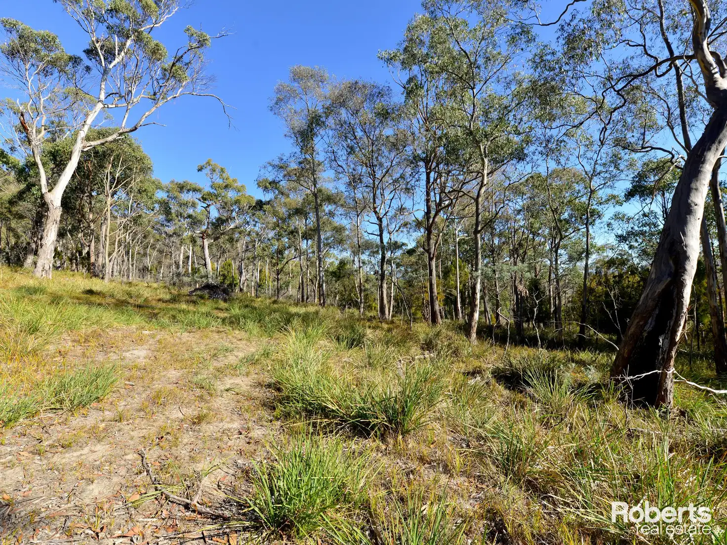 Main view of Homely land listing, Address available on request