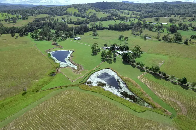 Third view of Homely rural property listing, 61 Blanchs Road, Byabarra NSW 2446