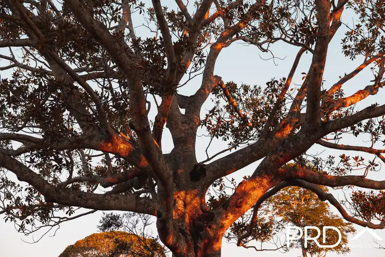 Sixth view of Homely land listing, Address available on request