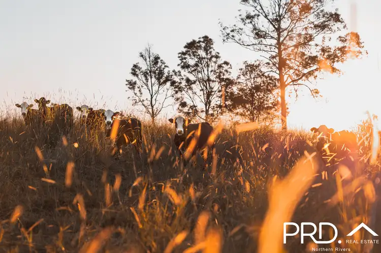 Fifth view of Homely land listing, Address available on request