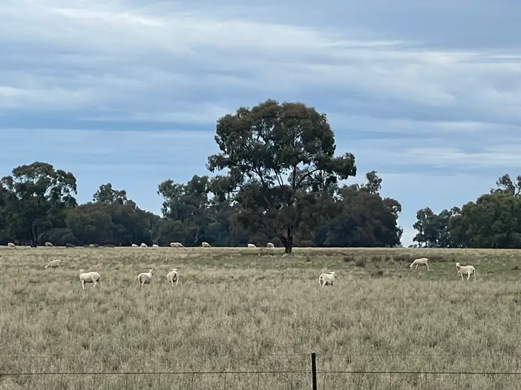 Second view of Homely rural property listing, 'East Gathan' 509 Gathan Road, Deniliquin NSW 2710
