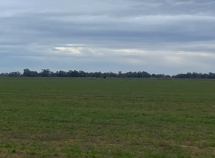 Third view of Homely rural property listing, 'East Gathan' 509 Gathan Road, Deniliquin NSW 2710