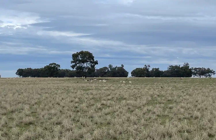 Fourth view of Homely rural property listing, 'East Gathan' 509 Gathan Road, Deniliquin NSW 2710
