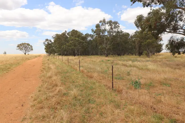 Fifth view of Homely rural property listing, 'East Gathan' 509 Gathan Road, Deniliquin NSW 2710