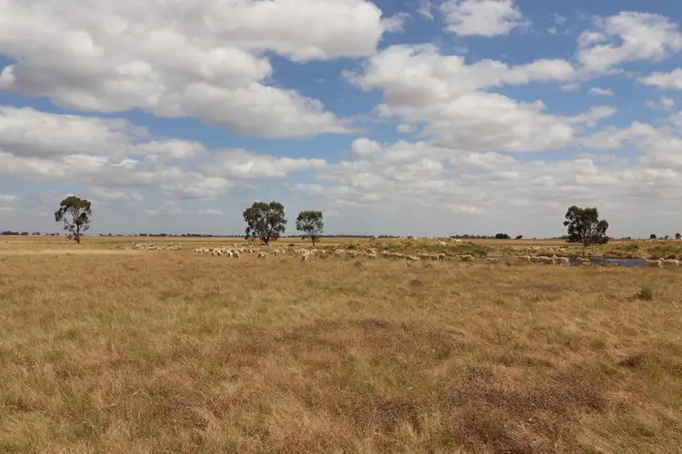 Sixth view of Homely rural property listing, 'East Gathan' 509 Gathan Road, Deniliquin NSW 2710