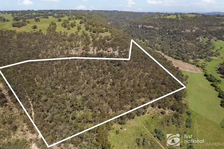 Second view of Homely rural property listing, 1165 Mount Vincent Road, Ilford NSW 2850