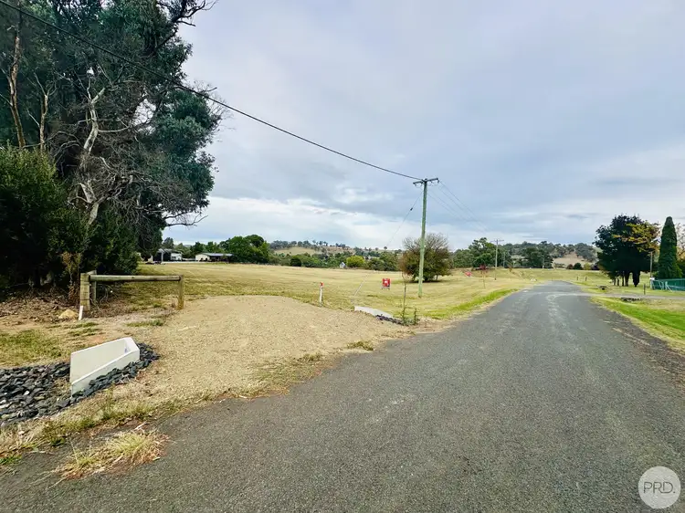 Main view of Homely land listing, LOT 1,2 & 3 Pine Lane, Tumbarumba NSW 2653