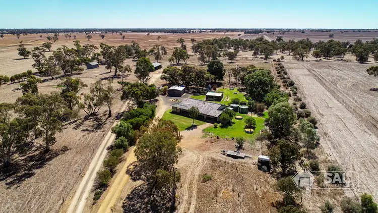 Second view of Homely rural property listing, 17809 Dukes Highway, Bordertown SA 5268