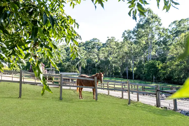 Sixth view of Homely house listing, 166 Lake Macdonald Drive, Lake Macdonald QLD 4563