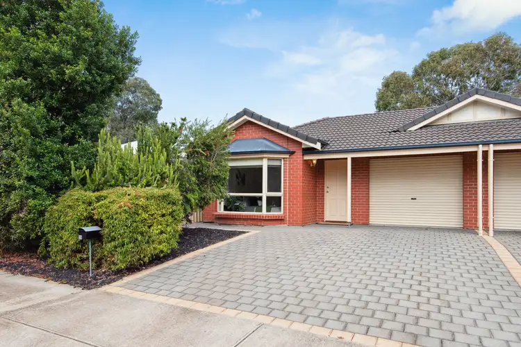 26 Scott Avenue, Clovelly Park SA 5042