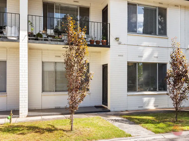 Second view of Homely unit listing, 3/3 Macklin Street, Parkside SA 5063