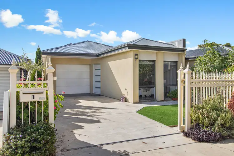 1 Macklin Street, Sturt SA 5047