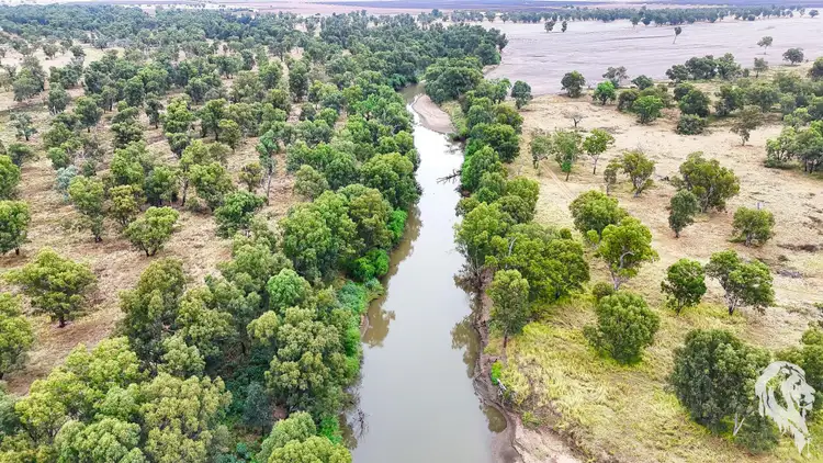 Second view of Homely rural property listing, 20713 Kamilaroi Highway, Narrabri NSW 2390