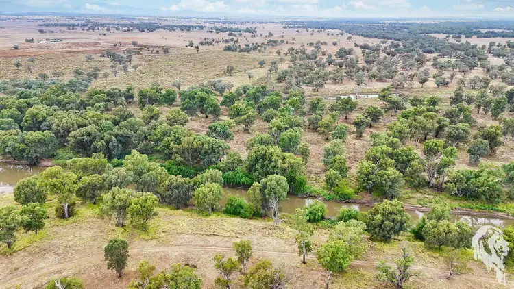 Fourth view of Homely rural property listing, 20713 Kamilaroi Highway, Narrabri NSW 2390