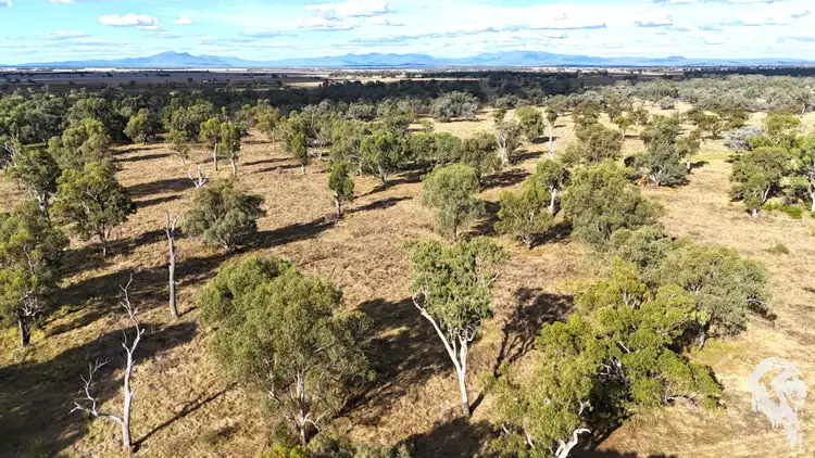 Fifth view of Homely rural property listing, 20713 Kamilaroi Highway, Narrabri NSW 2390