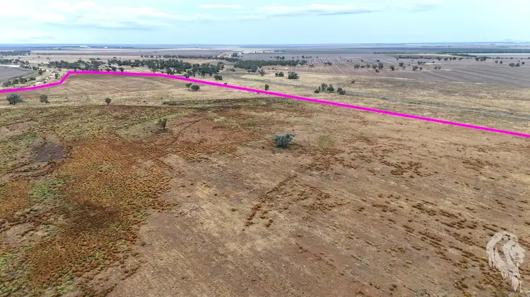 Sixth view of Homely rural property listing, 20713 Kamilaroi Highway, Narrabri NSW 2390