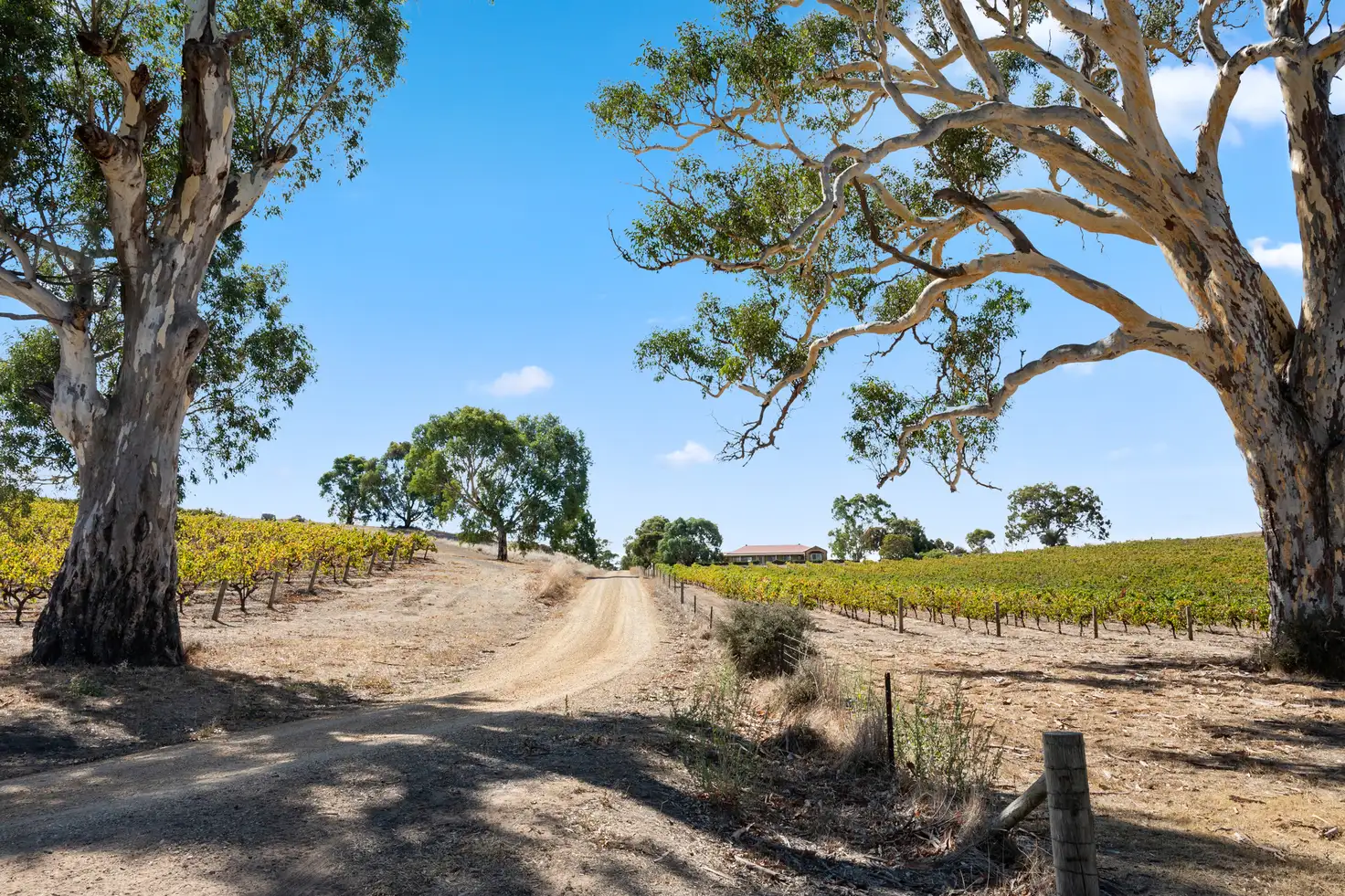 Main view of Homely rural property listing, 133 Rhine Park Road, Eden Valley SA 5235