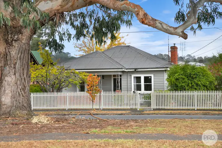 195 Scott Parade, Ballarat East VIC 3350