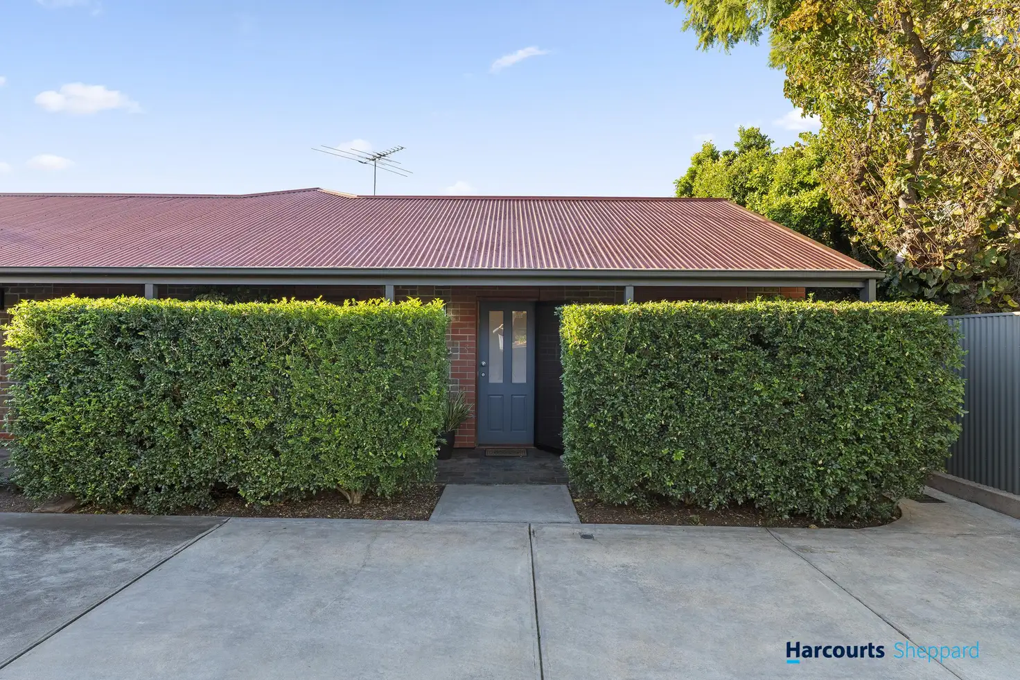 Main view of Homely unit listing, 3/1 Colliver Street, Norwood SA 5067
