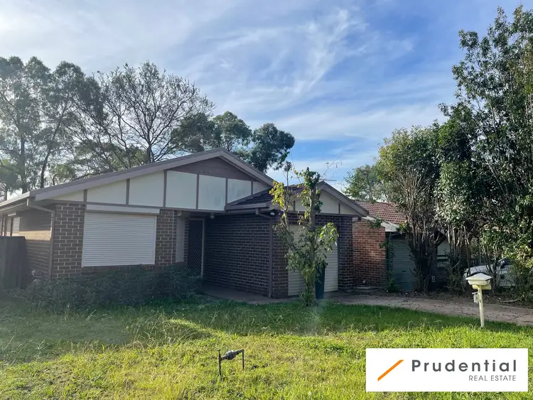 Main view of Homely house listing, 31 Orchid Place, Macquarie Fields NSW 2564