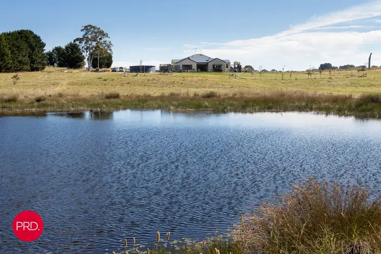 Second view of Homely rural property listing, 74 Summerhill Road, Bywong NSW 2621