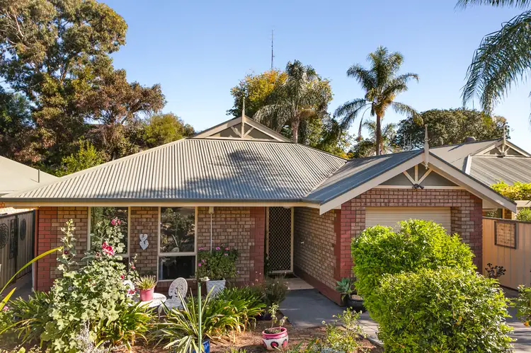 19B William Street, Loxton SA 5333