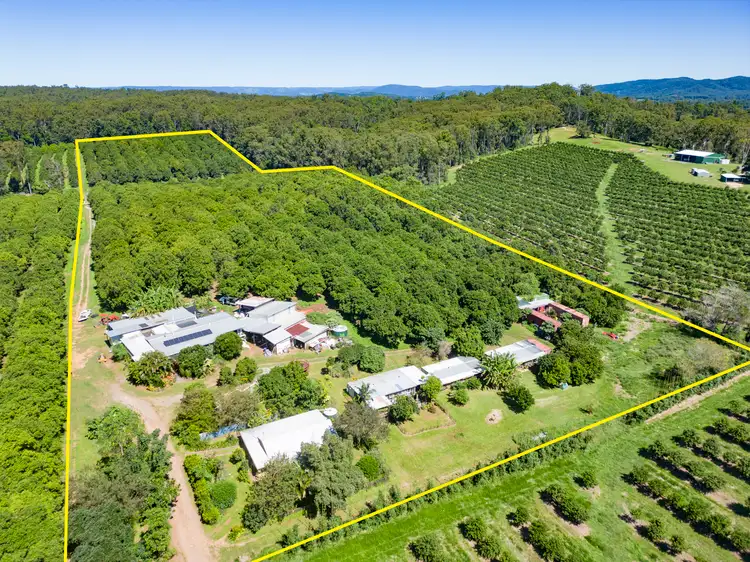 Main view of Homely rural property listing, 343 Commissioners Flat Road, Peachester QLD 4519