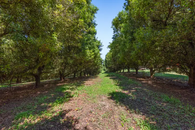 Second view of Homely rural property listing, 343 Commissioners Flat Road, Peachester QLD 4519