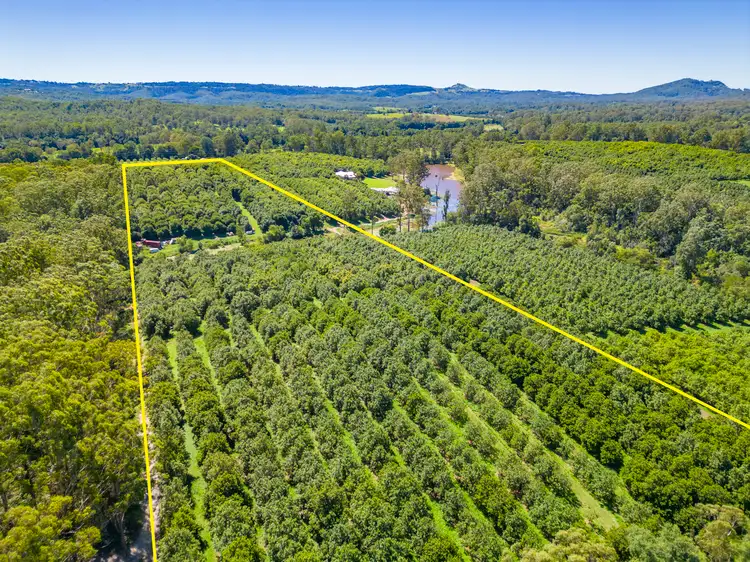 Fourth view of Homely rural property listing, 343 Commissioners Flat Road, Peachester QLD 4519