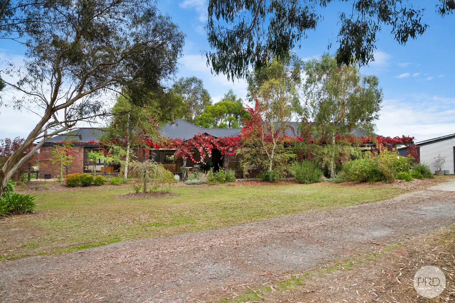 Main view of Homely house listing, 289 Wilsons Road, Haddon VIC 3351