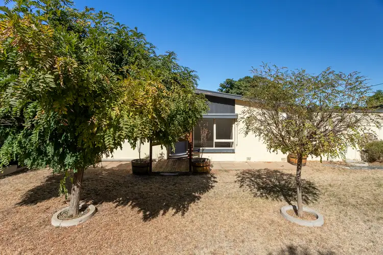 Third view of Homely house listing, 14 Roberts Street, Berri SA 5343