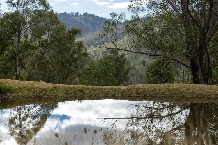 Third view of Homely rural property listing, Lot 78 McPhersons Country Estate, Enfield Range Road, Cells River NSW 2424