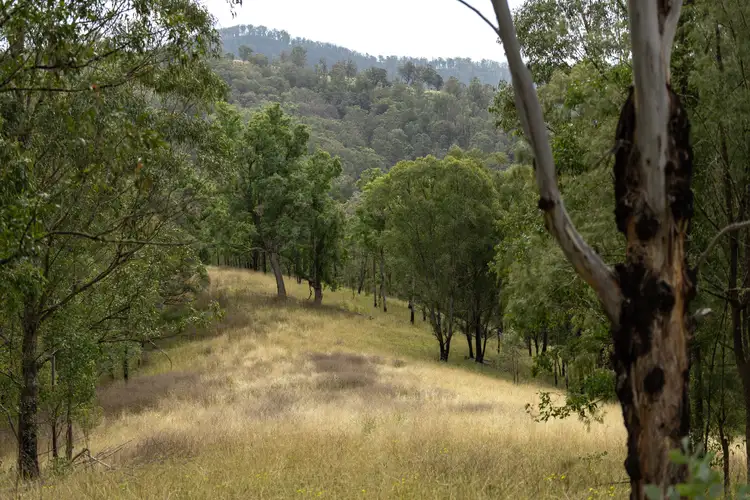 Fourth view of Homely rural property listing, Lot 78 McPhersons Country Estate, Enfield Range Road, Cells River NSW 2424