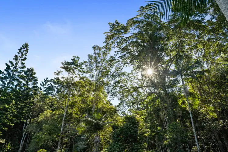 Second view of Homely rural property listing, 222 Urliup Road, Bilambil NSW 2486
