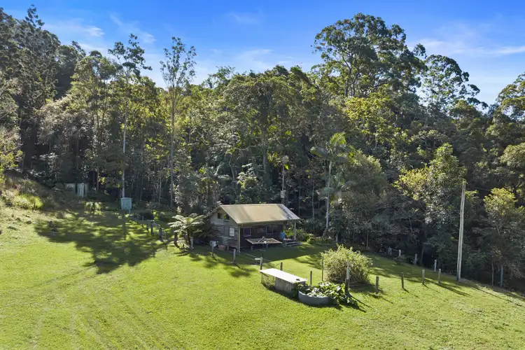 Third view of Homely rural property listing, 222 Urliup Road, Bilambil NSW 2486