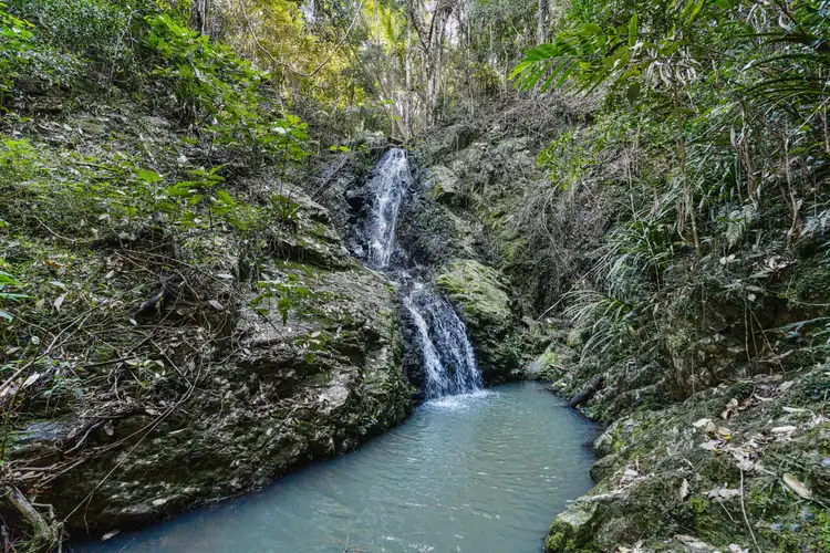 Sixth view of Homely rural property listing, 222 Urliup Road, Bilambil NSW 2486