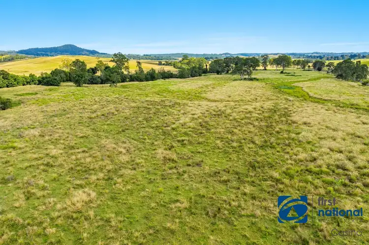 Fourth view of Homely rural property listing, 1480 Bentley Road, Bentley Via, Casino NSW 2470