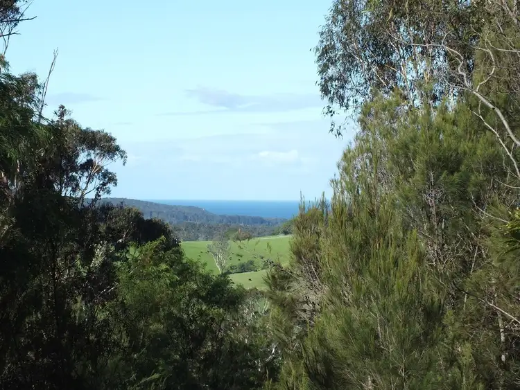 Seventh view of Homely rural property listing, 19 BARRABOOKA ROAD, Tanja NSW 2550