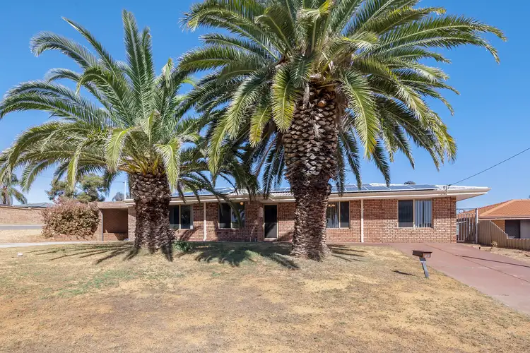 73 Goldsmith Road, Spearwood WA 6163