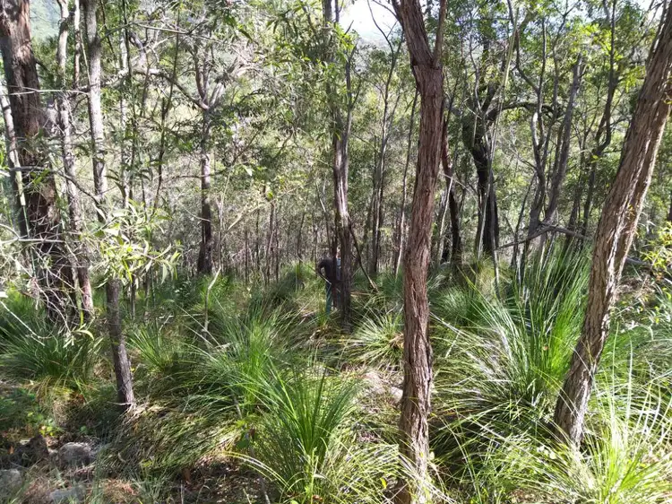 Fourth view of Homely land listing, Lot 351 Streeter Drive, Agnes Water QLD 4677
